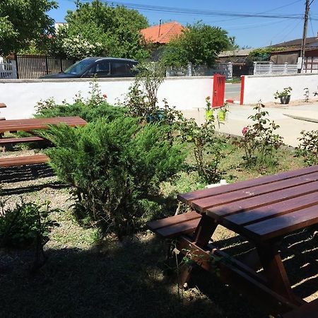 Pensiunea Acf Tineretului Costinesti Exterior foto
