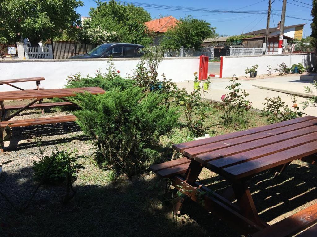 Pensiunea Acf Tineretului Costinesti Exterior foto